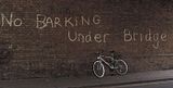 barking.jpg image by eFREAK