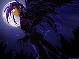 Dark in the Dark Dark in the Dark